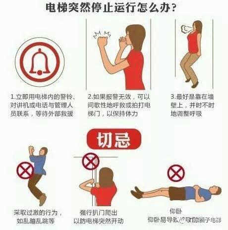 6a8c066ac24db.jpg