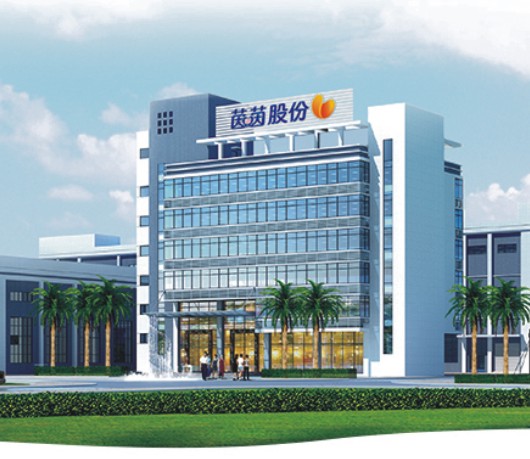 Yinyin holdings of Dongguan city
